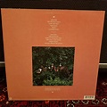 Paul Simon - The Rhythm Of The Saints LP MINT 1990 Ringo Starr Brecker ...
