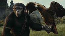 El planeta de los simios: Nuevo reino – Estreno, trailer y todo sobre ...