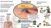 DIVULGACIÓN CIENTÍFICA UG: Dengue