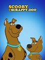 Scooby & Scrappy-Doo Pictures - Rotten Tomatoes