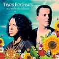 Pin on Tears for Fears (Forever)