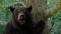'Cocaine Bear' Trailer: Elizabeth Banks Film Shows Bear on Rampage ...