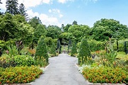 Visiting Morris Arboretum in Philadelphia - Guide to Philly