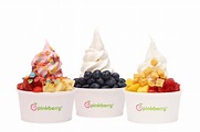 Pinkberry’s New Slogan: “No One Has Ever Died Inside A Pinkberry” – THE ...