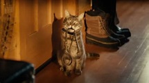 New Walter the cat commercial from Chevrolet set to be huge winter hit ...