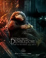 Poster zum Film Phantastische Tierwesen 3: Dumbledores Geheimnisse ...