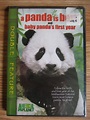 noboxtospeakof ( no box to speak of ): Panda is Born - A Baby Panda's ...