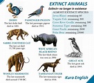 Extinct Animals List By Year