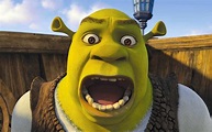 31 Shrek the Third HD Wallpapers | Background Images - Wallpaper Abyss