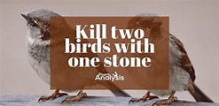 'Kill two birds with one stone' meaning and origin - Poem Analysis