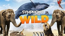 Symphony of the Wild | Apple TV