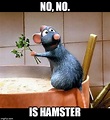 35 Funniest Ratatouille Memes To Cook Up A Smile Fandomspot | Catsupernova