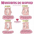 Maniobras de Leopold | Maniobras de leopold, Enfermería obstetricia ...