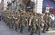 5000 Schweizer Soldaten üben den Schutz der eigenen Grenze - Basel ...