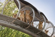 Philadelphia Zoo Reopens - 8 Things to Know