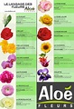 50 tipos de flores y su significado clases nombres y fotos – Artofit