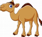 Camello de dibujos animados aislado sobre fondo blanco | Vector Premium