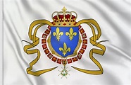 Louis XIV of France Flag