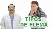 Tipos de Flemas y tratamiento con medicina natural. - YouTube