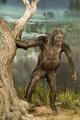 Lucy, femmina di australopithecus afarensis. Era alta appena un metro e ...