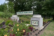 Boston's Franklin Park Zoo: The Complete Guide