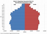 America's Age Profile Told through Population Pyramids