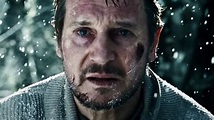 Liam Neeson's Best Action Movie Is The Grey