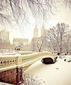 Central Park Winter - Snow at Bow Bridge - New York City-- | New york ...