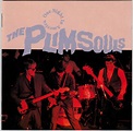 The Plimsouls - One Night In America (1989, CD) | Discogs