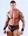 Randy Orton's Recent Tattoos Wallpapers : The Youngest World Heavy ...