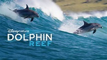 Dolphin Reef | Disney+