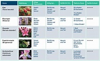 Giftige Pflanzen im Garten: Was tun? | GEV Versicherung