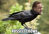 Image tagged in funny memes,russell crowe - Imgflip