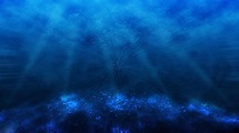 Underwater Ocean Wallpaper (57+ images)
