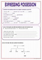 EXPRESSING POSSESSION: English ESL worksheets pdf & doc