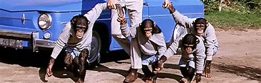 Scimmie tornatevene a casa! (1967) | FilmTV.it
