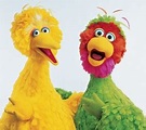 Abelardo Montoya | Muppet Wiki | Fandom | Big bird, Sesame street ...