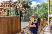 Naples Zoo at Caribbean Gardens Reviews and Ratings | Naples, FL ...