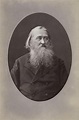 Porträt von Dichter Alexei Nikolajewitsc - Dimitrij Grigorjewitsch ...