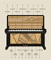 How Does A Piano Work To Create Sound? - OKTAV
