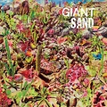 Review: Giant Sand – RETURNS TO VALLEY OF RAIN | Classic Rock
