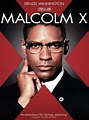 Pôster do filme Malcolm X - Foto 4 de 16 - AdoroCinema