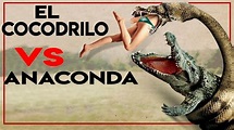 Pelicula Completa De Cocodrilo Vs Anaconda 2015 - CINEPREMIERE24