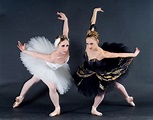 Odette/Odile | Swan lake ballet, Swan lake, Dance photography