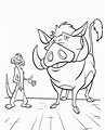 Dibujos de Timon y Pumba para colorear | WONDER DAY — Dibujos para ...