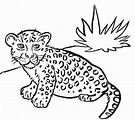 Lindo Bebé Leopardo para colorear, imprimir e dibujar – Dibujos ...