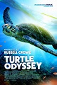 Turtle Odyssey Movie Poster - Chargefield