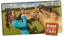 Anna und die wilden Tiere | Folge 1 | Wie wild ist das Wildpferd ...