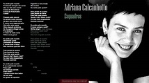 Adriana Calcanhotto - Esquadros - YouTube