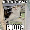 Making Us Laugh This Week | 15 Memes For Anyone Who is Always Hungry ...